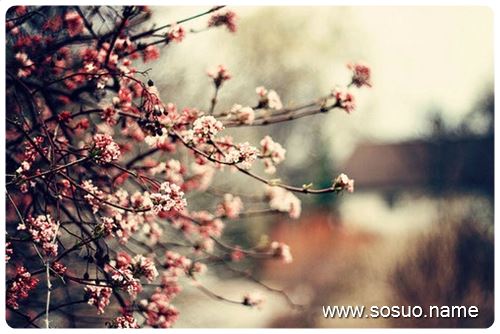 �μ�������ҧ��,�����μ�������ҧ��