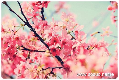 �μ��ճ�����������,�����μ��ճ�����������