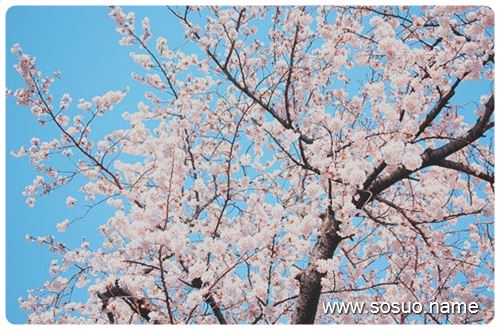 �μ���Ů�˵���������Ƭ����,�����μ���Ů�˵���������Ƭ����