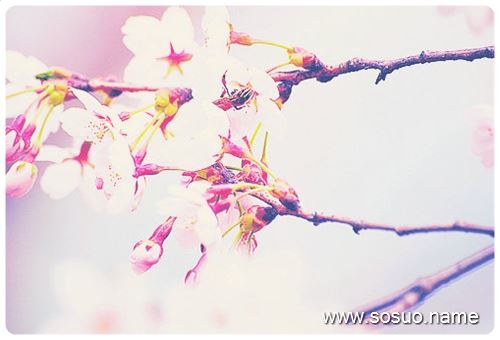 �μ��ܵ�����������ϵĴ�,�����μ��ܵ�����������ϵĴ�