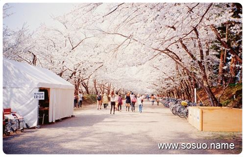 �μ����˺���˵���Ů��,�����μ����˺���˵���Ů��