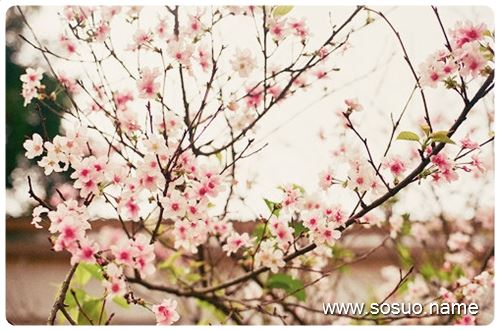 �μ��´���,�����μ��´���