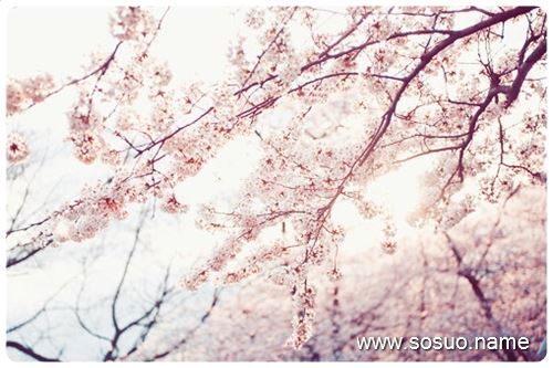 �μ��軳����,�����μ��軳����
