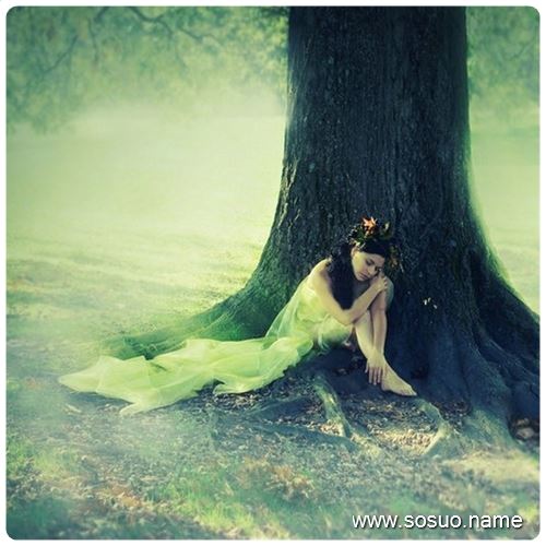 �μ�������׷��,�����μ�������׷��