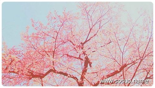 �μ����Ű�֥�Է�,�����μ����Ű�֥�Է�