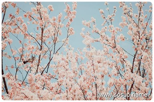�μ��ڹ�����˴���ڹ�Ӯ��,�����μ��ڹ�����˴���ڹ�Ӯ��