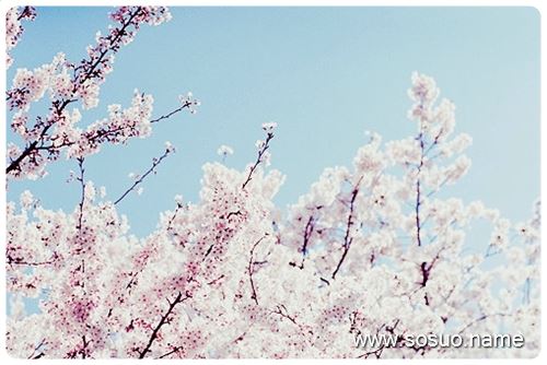 �μ���ֻ�ڹ�,�����μ���ֻ�ڹ�
