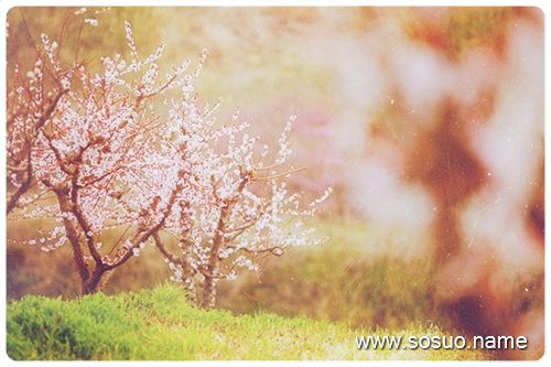 �μ�Ǯ�����Ǯ��͵��,�����μ�Ǯ�����Ǯ��͵��
