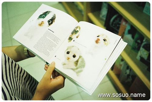 梦见我的手表镜片碎了是什么意思?