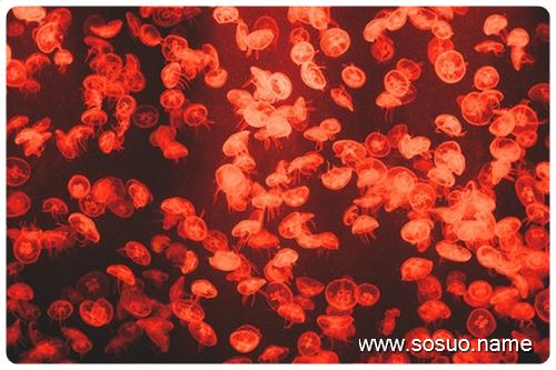 �μ�������,�����μ�������