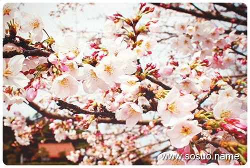 �μ����˵����ź���,�����μ����˵����ź���