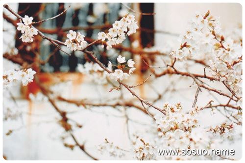 �μ��ܸߵĸ�¥����������ˤ��,�����μ��ܸߵĸ�¥����������ˤ��