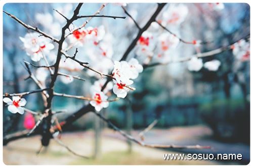 �μ�����˵���в�,�����μ�����˵���в�