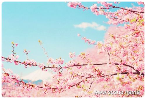 �μ����˱���,�����μ����˱���