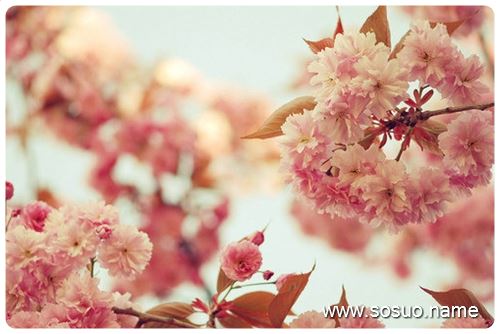 �μ��º�ѩ,�����μ��º�ѩ