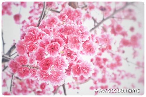 �μ������A�y�ҕ�����,�����μ������A�y�ҕ�����