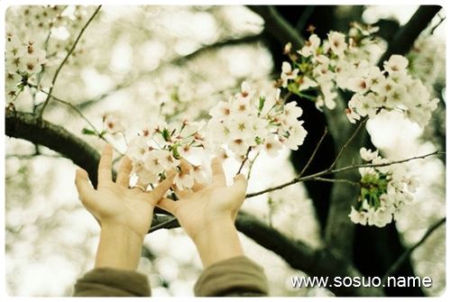 �μ�Ь���д��,�����μ�Ь���д��