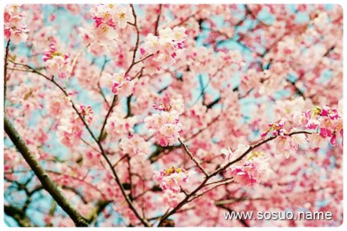 �μ�֩��ҧ��,�����μ�֩��ҧ��