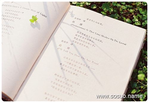 �μ����żҵ�����Ѫ,�����μ����żҵ�����Ѫ