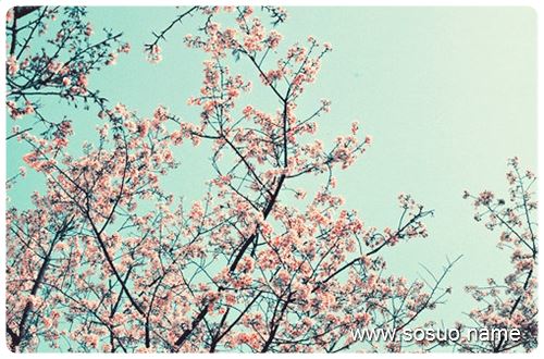 �μ��֌�,�����μ��֌�