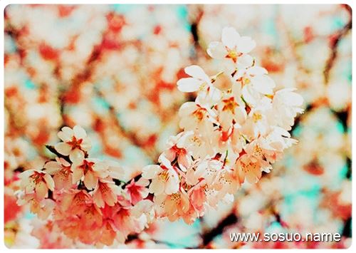�μ��Ӵ��Ӹߴ��ɵ����ֵʹ�,�����μ��Ӵ��Ӹߴ��ɵ����ֵʹ�
