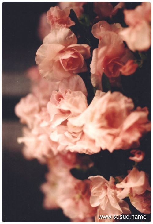 �μ�ȥ������һ�Ҵ�©ˮ,�����μ�ȥ������һ�Ҵ�©ˮ