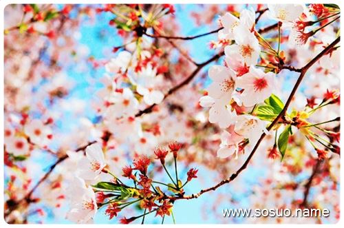 �μ����Ӿ�ʹ,�����μ����Ӿ�ʹ