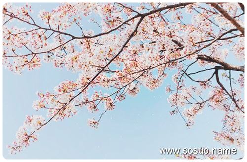 �μ���ǰ�Ķ�������ڵĶ���,�����μ���ǰ�Ķ�������ڵĶ���