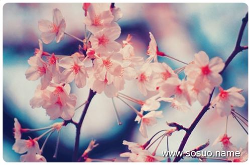 �μ�˺���ѷεĿ�,�����μ�˺���ѷεĿ�