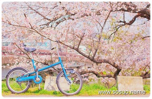 �μ�Ů���Ѳ����ҿ����ֻ�,�����μ�Ů���Ѳ����ҿ����ֻ�
