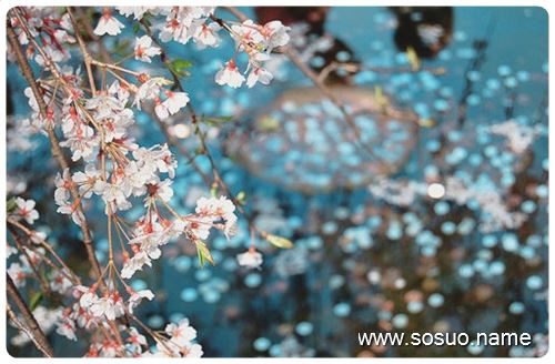 �μ�ɱ��ĸʨ�Ӻ��ܹ�ʨ��,�����μ�ɱ��ĸʨ�Ӻ��ܹ�ʨ��