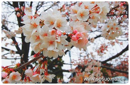 �μ����쵼�ᶫ������¥,�����μ����쵼�ᶫ������¥