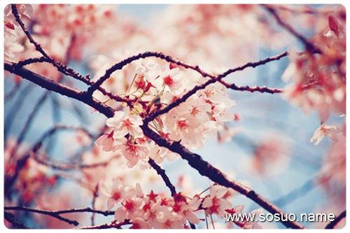 �μ����Լ����˴�,�����μ����Լ����˴�