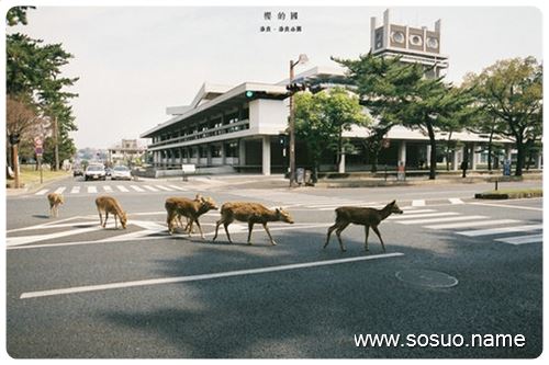 �μ��ڼ��������һ���ò�,�����μ��ڼ��������һ���ò�