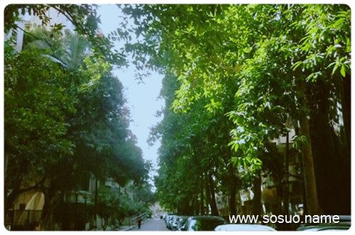 �μ�С����뷿��,�����μ�С����뷿��