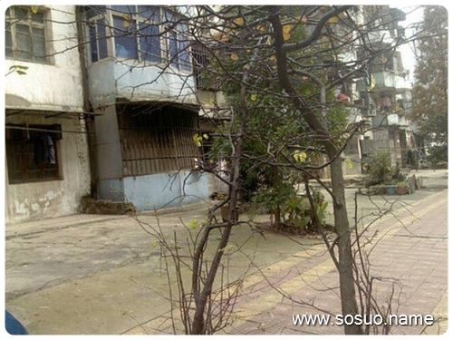 �μ�����ͣ�Լ��ҳ���,�����μ�����ͣ�Լ��ҳ���