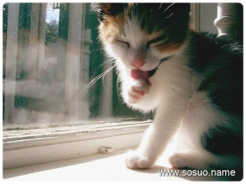 �μ�̱������վ��,�����μ�̱������վ��
