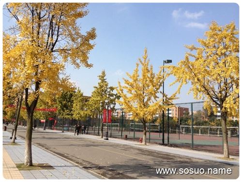 �μ�����˵�Լ���ȱ��,�����μ�����˵�Լ���ȱ��