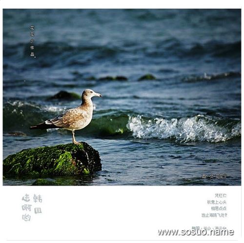 �μ����ײ�������,�����μ����ײ�������