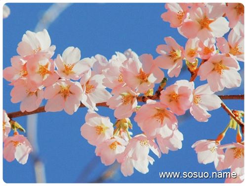 �μ�����˵�һ�����,�����μ�����˵�һ�����
