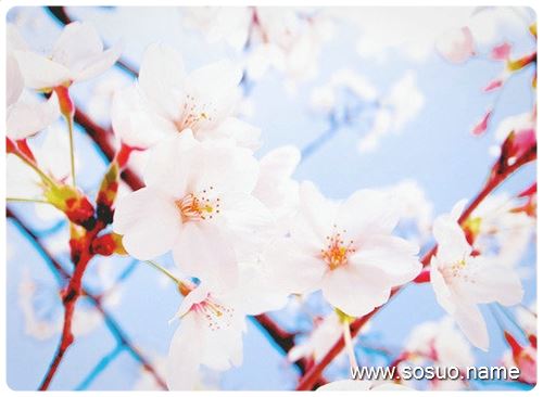 �μ��Ұ���Ů��,�����μ��Ұ���Ů��