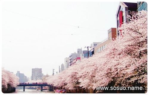 �μ���������Ƥ������,�����μ���������Ƥ������