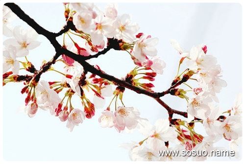 �μ���ʺ�ܳ���,�����μ���ʺ�ܳ���