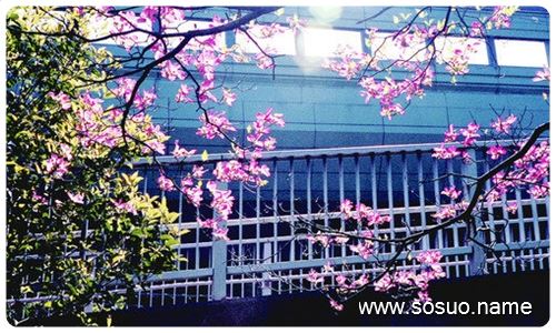 �μ�����Ϊ�Լ��̴�,�����μ�����Ϊ�Լ��̴�