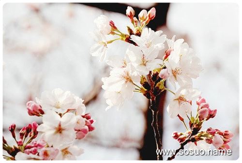 �μ����������˱�����,�����μ����������˱�����