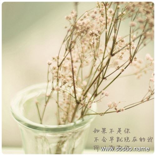 �μ��ͺܶ�����ͬ������,�����μ��ͺܶ�����ͬ������
