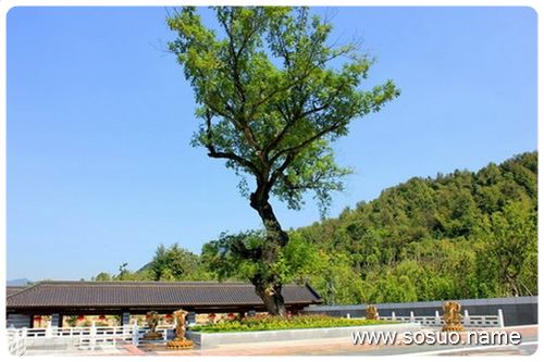 �μ��Լ�Ҫ��������,�����μ��Լ�Ҫ��������