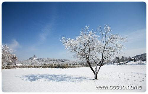 �μ���˿����,�����μ���˿����