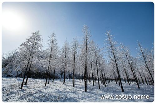�μ��Һ�������˯����,�����μ��Һ�������˯����
