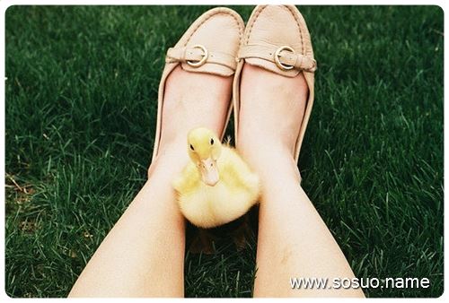 �μ��ö�������,�����μ��ö�������